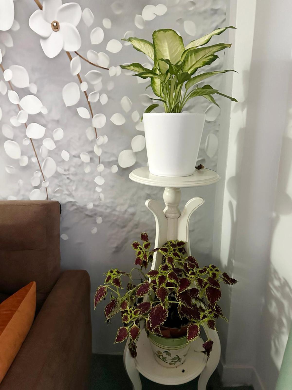 Pnoe D'Athenes Apartment Ngoại thất bức ảnh